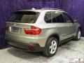 Platinum Bronze Metallic - X5 3.0si Photo No. 24