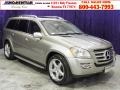 2008 Pewter Metallic Mercedes-Benz GL 550 4Matic  photo #1