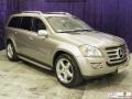 2008 Pewter Metallic Mercedes-Benz GL 550 4Matic  photo #3