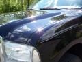 2002 Black Ford F350 Super Duty Lariat Crew Cab 4x4  photo #16