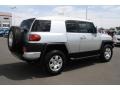 Titanium Metallic - FJ Cruiser 4WD Photo No. 2