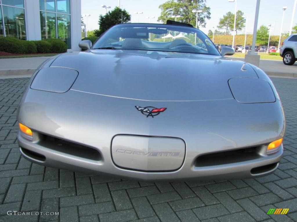 Light Pewter Metallic 1999 Chevrolet Corvette Convertible Exterior Photo #49066994