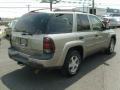 2003 Light Pewter Metallic Chevrolet TrailBlazer LT 4x4  photo #7