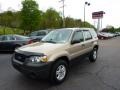Dune Pearl Metallic 2007 Ford Escape XLS 4WD