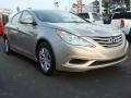 Camel Pearl - Sonata GLS Photo No. 1