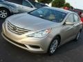 Camel Pearl - Sonata GLS Photo No. 6