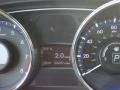 Camel Pearl - Sonata GLS Photo No. 13