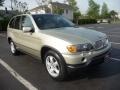 Front 3/4 View of 2000 X5 4.4i