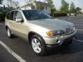 2000 Pearl Beige Metallic BMW X5 4.4i  photo #1