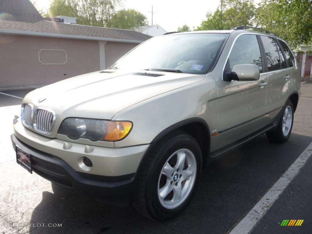 2000 X5 4.4i - Pearl Beige Metallic / Sand Beige photo #2