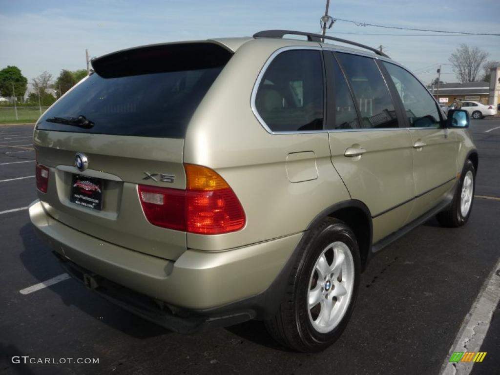 2000 X5 4.4i - Pearl Beige Metallic / Sand Beige photo #3