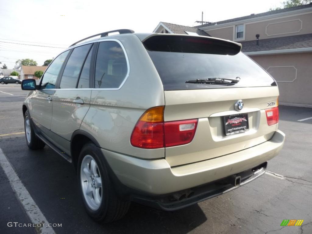 2000 X5 4.4i - Pearl Beige Metallic / Sand Beige photo #4