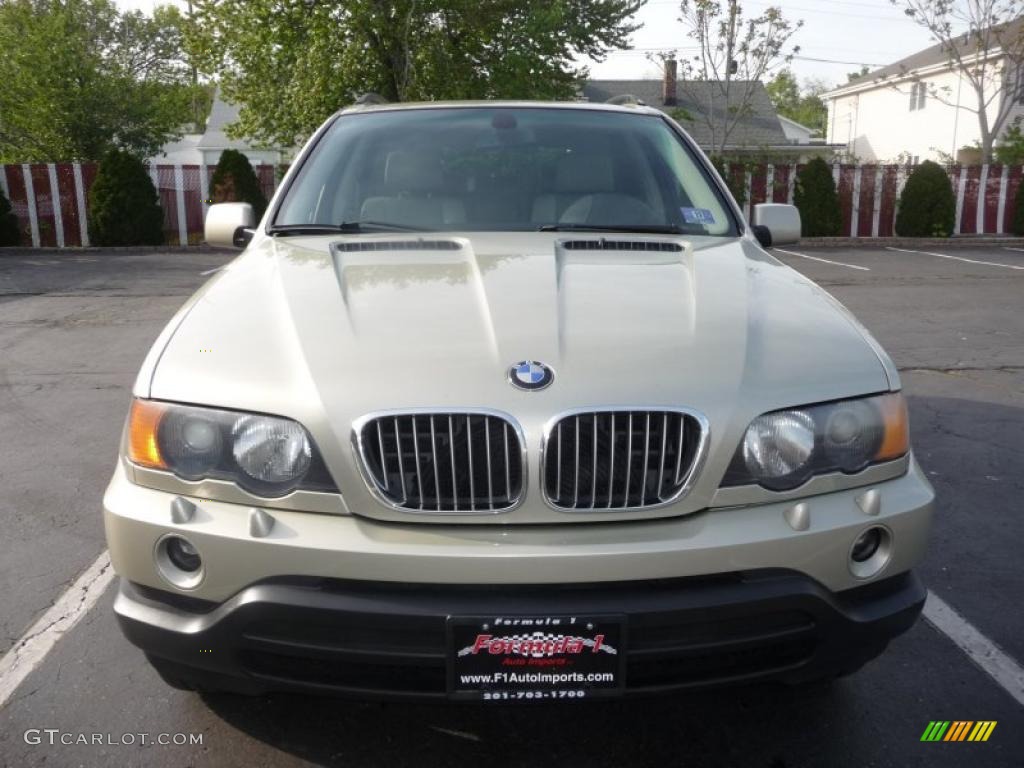 2000 X5 4.4i - Pearl Beige Metallic / Sand Beige photo #13