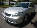 Classic Silver Metallic - ES 330 Photo No. 2