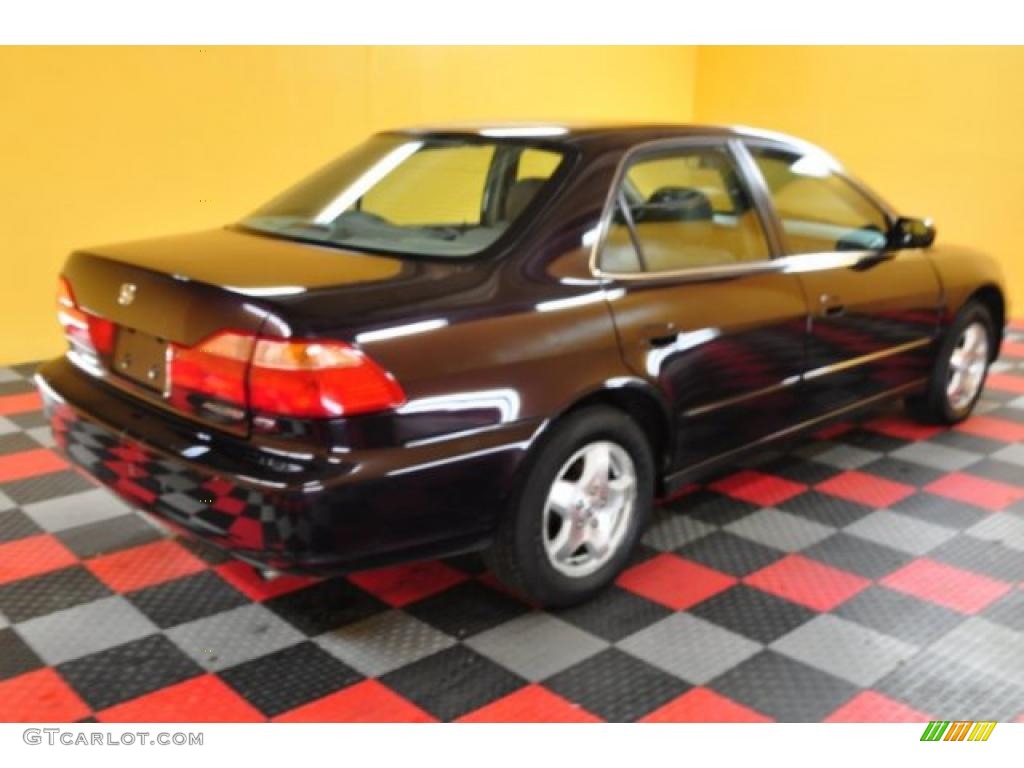 1998 Accord EX V6 Sedan - Black Currant Pearl / Ivory photo #4
