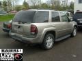 2003 Light Pewter Metallic Chevrolet TrailBlazer LTZ 4x4  photo #2