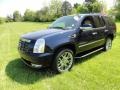 Blue Chip - Escalade AWD Photo No. 2