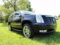 Blue Chip - Escalade AWD Photo No. 5