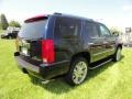 Blue Chip - Escalade AWD Photo No. 8