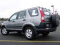 Pewter Pearl - CR-V LX Photo No. 5