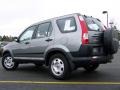 2006 Pewter Pearl Honda CR-V LX  photo #5