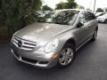 2006 Pewter Metallic Mercedes-Benz R 500 4Matic  photo #4