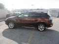 2009 Brandywine Mica Lexus RX 350 AWD  photo #9