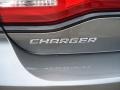 Tungsten Metallic - Charger Rallye Photo No. 14