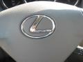 2009 Brandywine Mica Lexus RX 350 AWD  photo #36