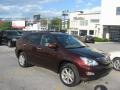 2009 Brandywine Mica Lexus RX 350 AWD  photo #55