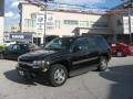 Black - TrailBlazer LS 4x4 Photo No. 41