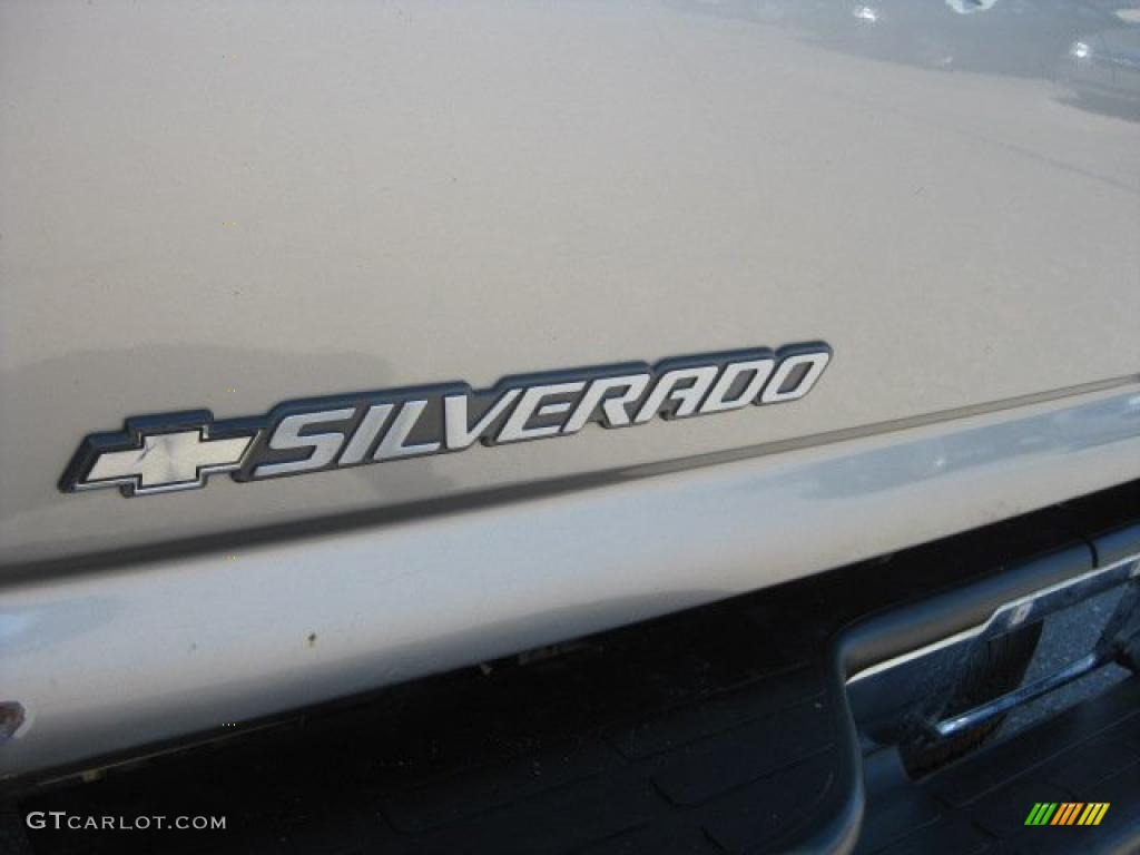 2002 Silverado 1500 LS Extended Cab 4x4 - Light Pewter Metallic / Graphite Gray photo #18