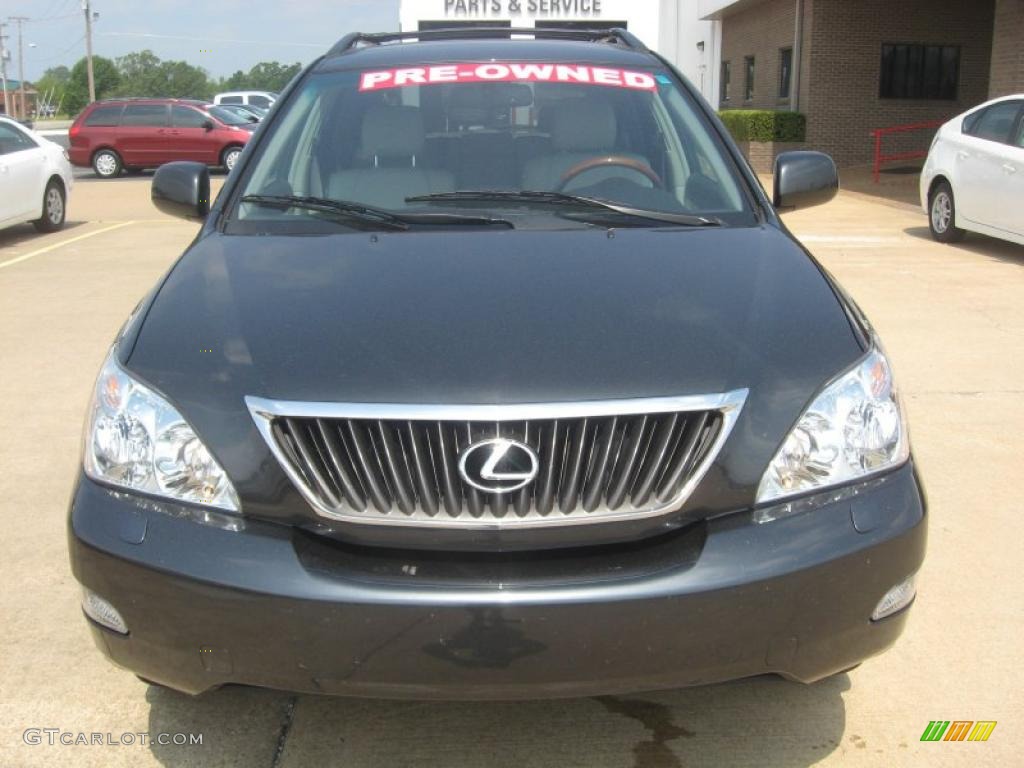 2009 RX 350 - Smokey Granite / Light Gray photo #2