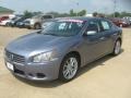 Ocean Gray - Maxima 3.5 SV Photo No. 3
