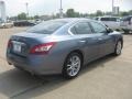 Ocean Gray - Maxima 3.5 SV Photo No. 7