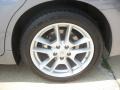 Ocean Gray - Maxima 3.5 SV Photo No. 16