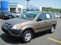 2002 Mojave Mist Metallic Honda CR-V LX  photo #1