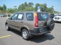 2002 Mojave Mist Metallic Honda CR-V LX  photo #3