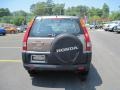 Mojave Mist Metallic - CR-V LX Photo No. 4