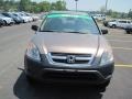 2002 Mojave Mist Metallic Honda CR-V LX  photo #8