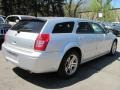 Bright Silver Metallic - Magnum R/T Photo No. 2