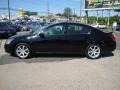 Super Black - Maxima 3.5 SE Photo No. 16