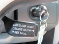 Light Sandstone Metallic - Grand Caravan SXT Photo No. 5