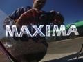 Super Black - Maxima 3.5 SE Photo No. 32