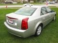 Light Platinum - CTS Sedan Photo No. 4