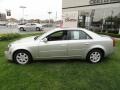 Light Platinum - CTS Sedan Photo No. 7