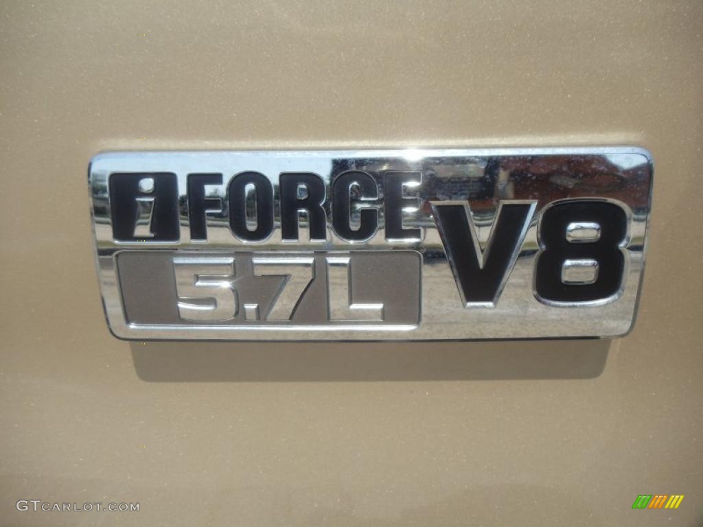 2010 Toyota Sequoia Platinum Marks and Logos Photo #49115504