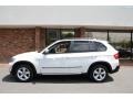 Alpine White - X5 3.0si Photo No. 3