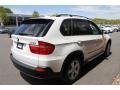 Alpine White - X5 3.0si Photo No. 6