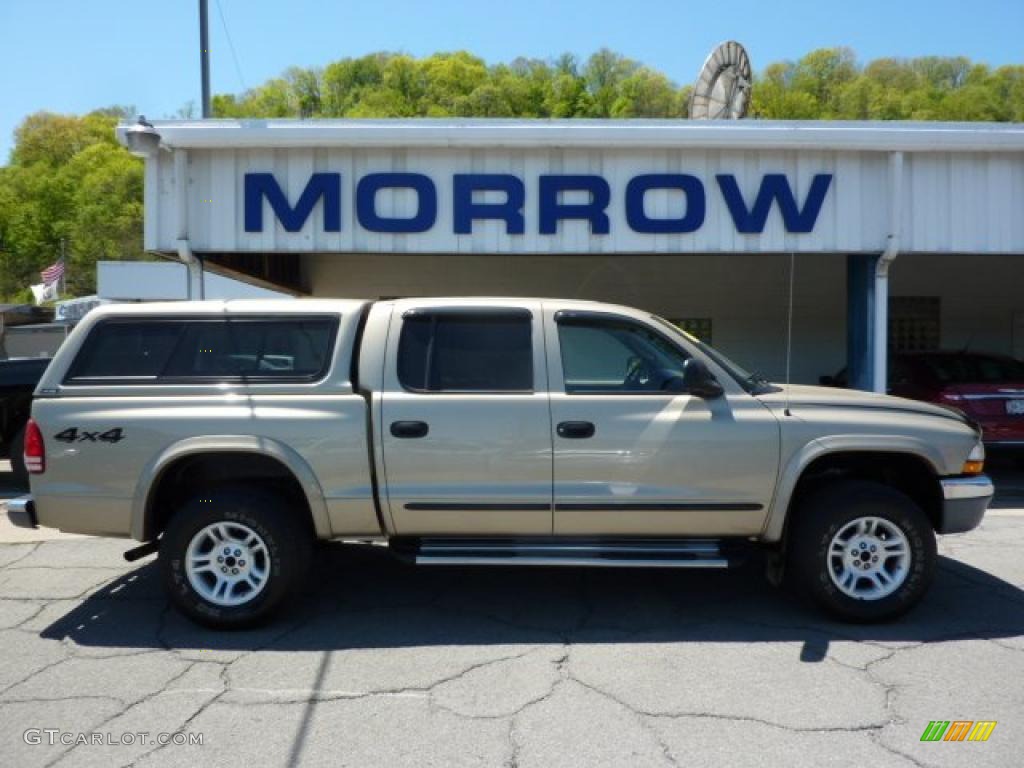 2003 Dakota SLT Quad Cab 4x4 - Light Almond Pearl / Taupe photo #1